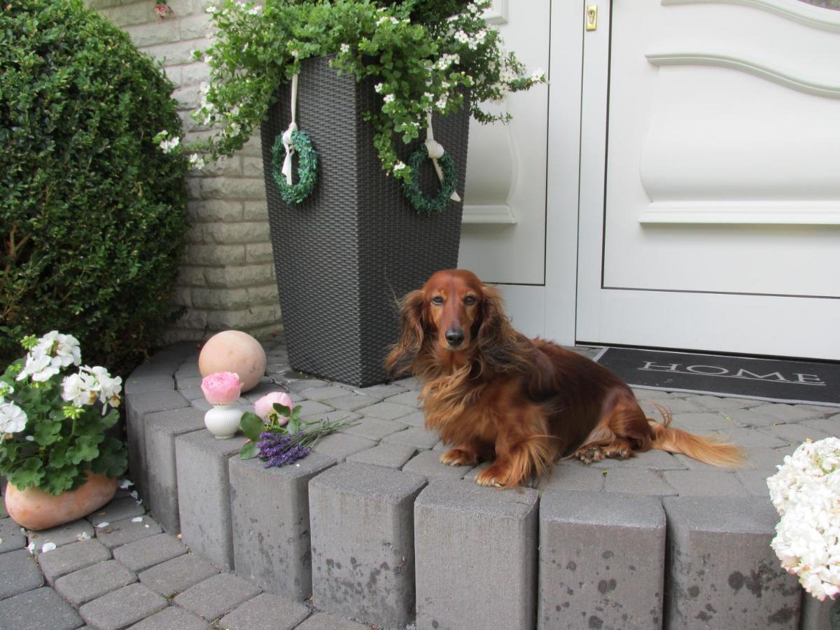 Pension Roseneck Wolfshagen  Esterno foto